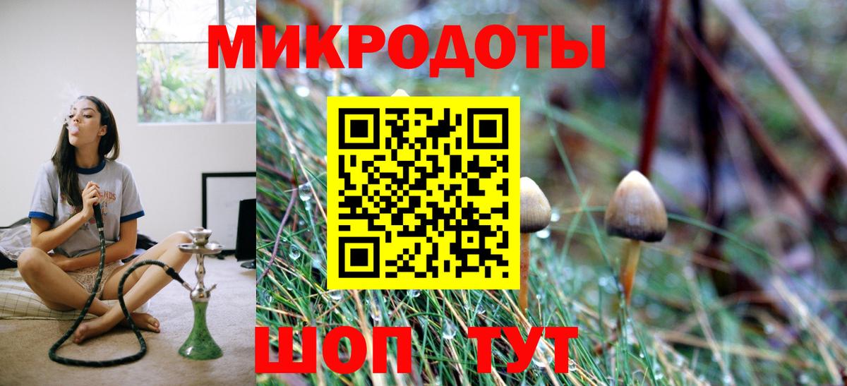 Галлюциногенные грибы GOLDEN TEACHER  Галлюциногенные грибы Magic Shrooms  Кострома  закладки  Вход с VPN 